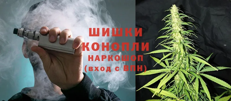 Марихуана White Widow  купить наркоту  Нефтекумск 